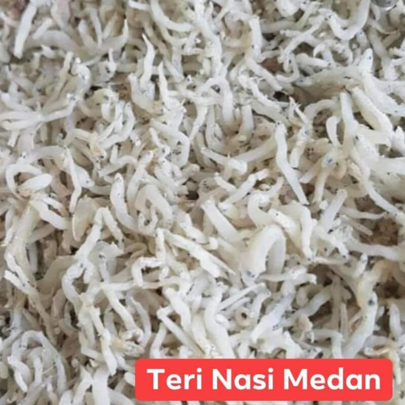 Premium Teri Nasi Medan Asli GoJajan