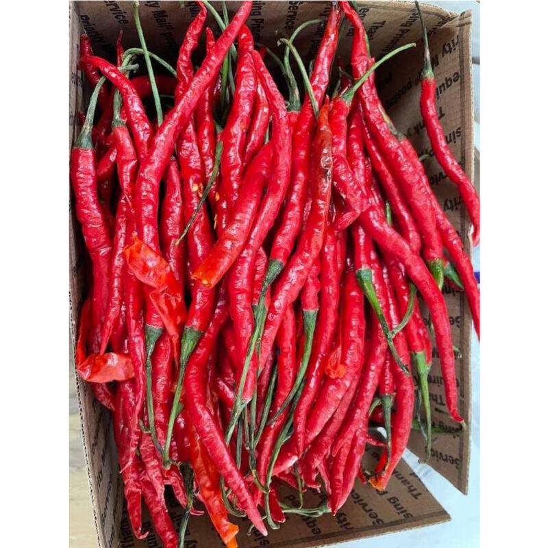 Asam Cikala/Cekala – GoJajan